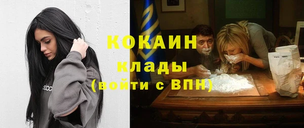 дмт Струнино
