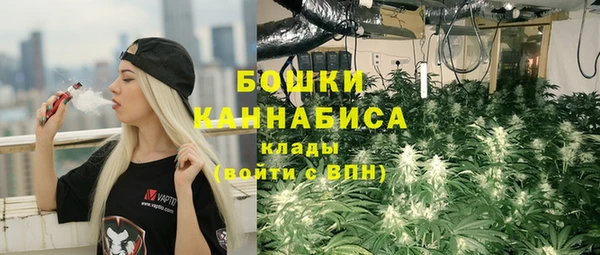 Альфа ПВП Горнозаводск