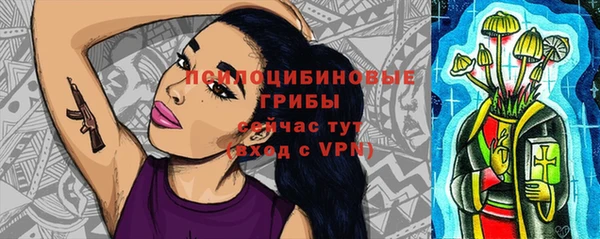 Альфа ПВП Горнозаводск
